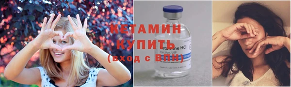 прущие грибы Кулебаки