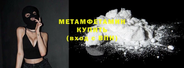 прущие грибы Кулебаки
