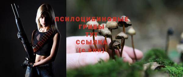 гидра Липки