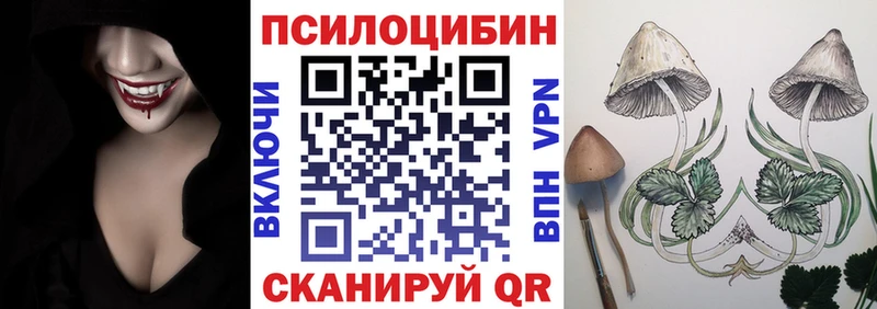 Псилоцибиновые грибы мицелий  Купить закладки  Армянск 